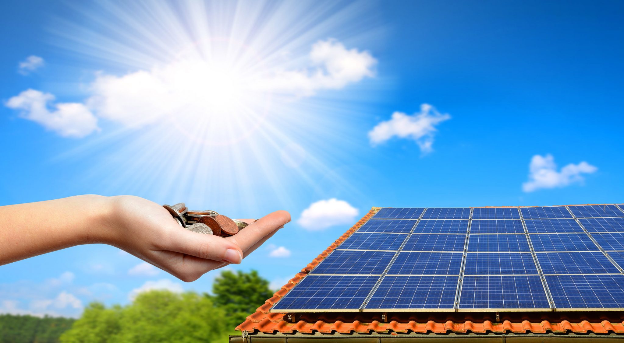 solar-energy-benefits-wynter-interiors